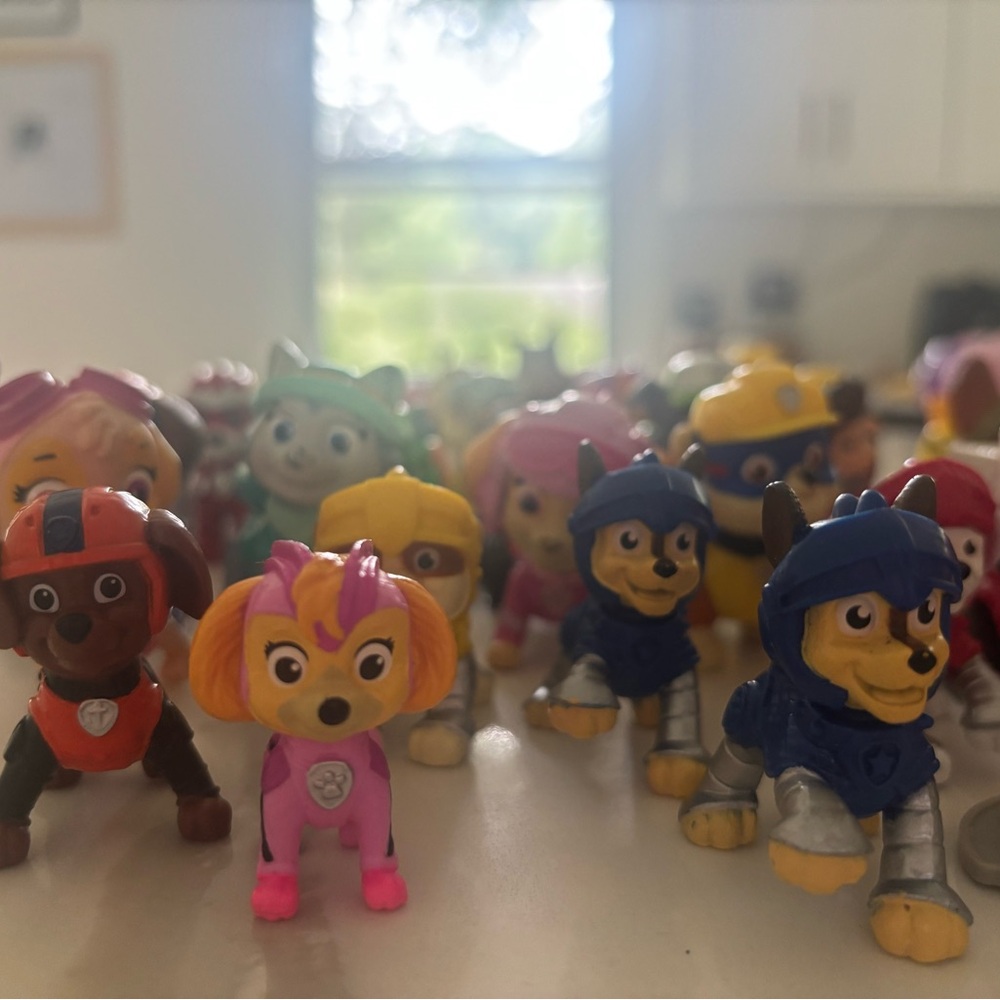 Paw Patrol Figurines in multicor